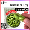 ถั่วแระญี่ปุ่น 1 กิโลกรัมต่อแพ็ค (Edamame 1 Kg.)