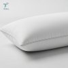 Fill Bliss Pillow & Pillowcase Set