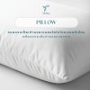 Fill Bliss Pillow Feather & Non-Feather