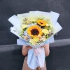 2Sunflower