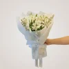ช่ออันโตมีเรีย