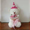 Whiteteddybear HBD.