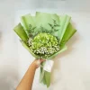 ช่อไฮเดรนเยียสีเขียว