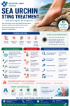 Sea Urchin Sting Treatment Koh Samui. The 2026 Guide to Marine First Aid Sea Urchin Sting Treatment Koh Samui. The 2026 Guide to Marine First Aid