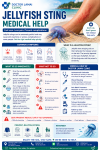 Jellyfish Sting Medical Help Samui. The 2026 Guide to Marine First Aid