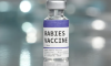 How Much is a Rabies Vaccine? A Guide to the Costs How Much is a Rabies Vaccine? A Guide to the Costs