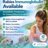Rabies Immunoglobulin Availability Samui. The 2026 Emergency Guide