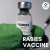 Where to Get Human Rabies Vaccine Near Me: A Tourist’s Emergency Guide