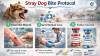 Stray Dog Bite Protocol Thailand. Your 2026 Emergency Action Plan in Koh Samui Stray Dog Bite Protocol Thailand. Your 2026 Emergency Action Plan in Koh Samui