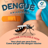 Dengue Vaccine in Koh Samui | Protect Yourself from Dengue Fever