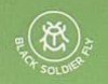 Black Soldier Fly 