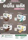 Amino Plus : อะมิโน พลัส