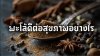ประโยชน์ของผงพะโล้ต่อสุขภาพและวัฒนธรรมไทย ประโยชน์ของผงพะโล้ต่อสุขภาพและวัฒนธรรมไทย