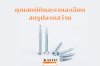 สกรูปลายสว่าน สกรูปลายสว่าน