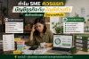 ทำไม SME ควรแยกบัญชีธุรกิจกับบัญชีส่วนตัว