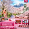 Perfect Sakura TOKYO FUJI KAMAKURA 5วัน 3คืน by XJ MAR 26