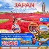 ทัวร์โตเกียว ฟูจิ อิบารากิ นาริตะ ทุ่งดอกโคเชีย 5 วัน 4 คืน