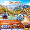 ทัวร์โอซาก้า เกียวโต ทาคายาม่า มัตสึโมโต้ คามิโคจิ (เที่ยวอิสระ 1 วัน) 6 วัน 4 คืน