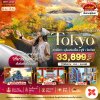 ทัวร์ โตเกียว คามิโคจิ อุโมงค์เมเปิ้ล ฟูจิ โตเกียว 5 วัน 3 คืน