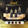 Serwa Hybrid Formula Nano Pigment