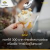 เจลาโต้ 300 บาท คนไม่ได้ซื้อแค่ความอร่อย แต่ซื้อ “การอยู่ในกระแส”
