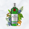 Tanqueray London Dry Gin 750ml