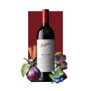 Penfolds Bin 28 Kalimna Shiraz 750ml