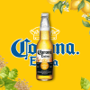 Corona Extra 335ml