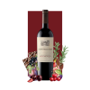 Concha Y Toro Don Melchor 2021 750 ml