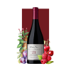 Cono Sur Single Vineyard Pinot Noir 750ml (Block No. 21)