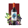 San Pedro "Sideral" Cachapoal Andes 750 ml