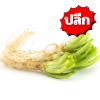 รากผักชี ปลีก
