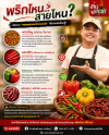 ️พริกไหน... สายไหน? มัดรวม "สรรพคุณพริกยอดฮิต" ที่สายแซ่บต้องรู้!