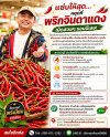 แซ่บให้สุด... หยุดที่พริกจินดาแดงเม็ดสวยๆ รอบนี้เลย! แซ่บให้สุด... หยุดที่พริกจินดาแดงเม็ดสวยๆ รอบนี้เลย!