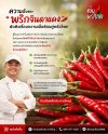 ความลับของ "พริกจินดาแดง" ตัวตึงเรื่องความเผ็ดร้อนคู่ครัวไทย! ความลับของ "พริกจินดาแดง" ตัวตึงเรื่องความเผ็ดร้อนคู่ครัวไทย!