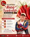 ประโยชน์ของพริกชี้ฟ้า สรรพคุณสุดเจ๋งและเรื่องน่ารู้ที่คุณไม่ควรพลาด