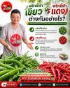 พริกชี้ฟ้า ขายส่งพริกชี้ฟ้า หาดใหญ่ เขียว vs แดง ต่างกันอย่างไร
