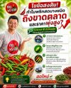 ทำไมพริกสดบางชนิดถึงขาดตลาด และราคาแพง | ขายส่งพริกสด หาดใหญ่
