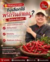 ประโยชน์ของพริกจินดาแดง สรรพคุณสุดเจ๋งและเรื่องน่ารู้ที่คุณไม่ควรพลาด