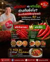 พริกจินดา vs พริกชี้ฟ้า ต่างกันยังไง เลือกใช้แบบไหนให้ถูกเมนู | ต้นพริกสด หาดใหญ่ พริกจินดา vs พริกชี้ฟ้า ต่างกันยังไง เลือกใช้แบบไหนให้ถูกเมนู | ต้นพริกสด หาดใหญ่