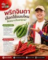 ประโยชน์ของพริกจินดา สรรพคุณสุดเจ๋งและเรื่องน่ารู้ที่คุณไม่ควรพลาด