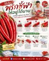 วิธีเก็บพริกชี้ฟ้าให้อยู่ได้นาน ไม่เน่า ไม่เปื่อย