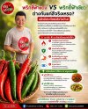 ประโยชน์ของพริกชี้ฟ้า สรรพคุณน่ารู้ พร้อมแหล่งขายส่งพริกชี้ฟ้า หาดใหญ่