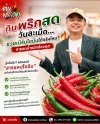 ประโยชน์ของพริกสด สรรพคุณสุดเจ๋งและเรื่องน่ารู้ที่คุณไม่ควรพลาด