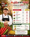 อัปเดตราคาพริกและผักสดประจำวันอังคารที่ 9 มิถุนายน 2569 สดจากสวน ของเข้าใหม่ทุกวัน พร้อมส่งตรงถึงมือคุณในหาดใหญ่แล้วครับ! อัปเดตราคาพริกและผักสดประจำวันอังคารที่ 9 มิถุนายน 2569 สดจากสวน ของเข้าใหม่ทุกวัน พร้อมส่งตรงถึงมือคุณในหาดใหญ่แล้วครับ!