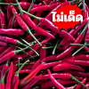 พริกจินดาแดง ไม่เด็ด