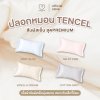 MAMAMO ปลอกหมอน Tencel ปลอกหมอนหนุน หายใจผ่านได้