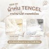 ผ้าห่ม Mamamo ผ้า Tencel ขนาด 90x110 cm. คอลเลคชั่นใหม่