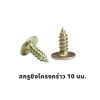 สกรูยิงโครงคร่าว 10 มม.