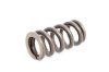 SSC-0132A-SS20 (OD1.32 X W0.1 X FL3.0 X SUS) Compression Spring
